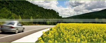 Auto Thermal Insulation Anti UV Coating