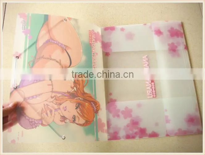A4 plastic document wallet , travel document wallet