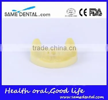 Dental Implant Practice Model (no gum) Education School Teaching Models