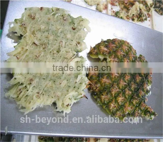 Complete Pineapple Fruit Processing Line