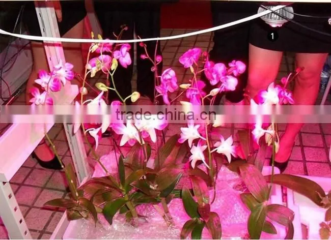 2016 hot sale full spectrum 45W 225 leds panel eshine systems led grow light for Indoor plant Veg Hydroponic