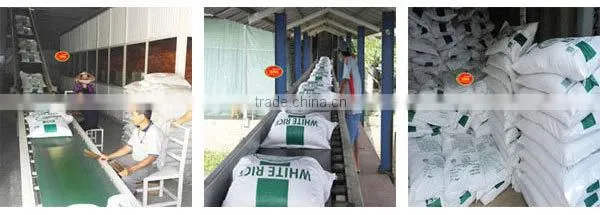 Glutinous Rice 5% broken