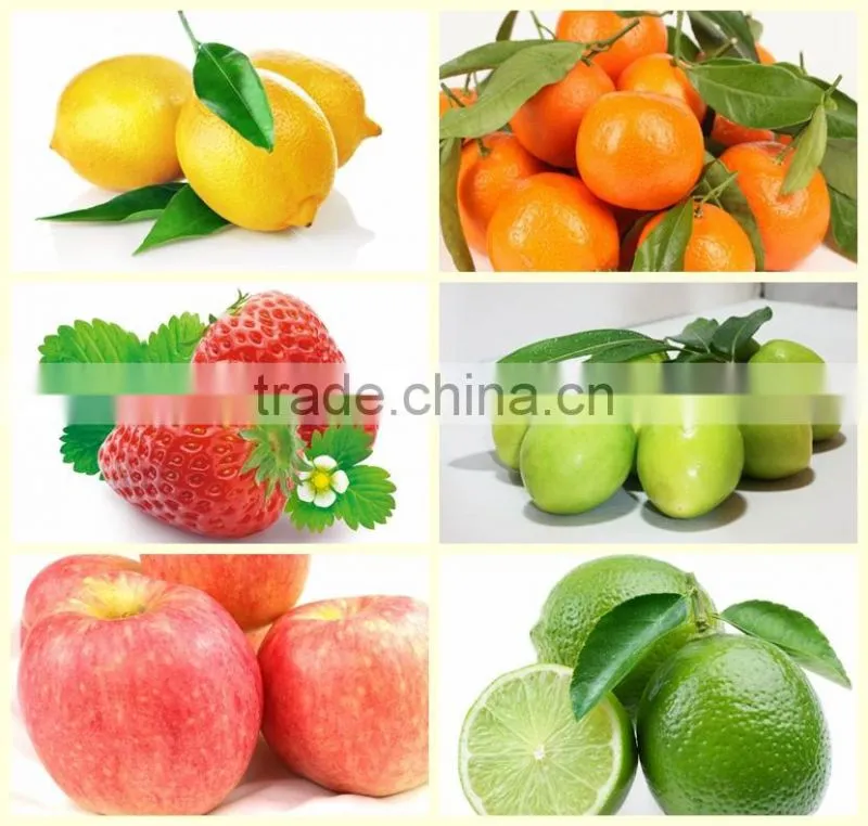 Industrial Watermelon/Orange/Apple Washing Machine with roller brushes