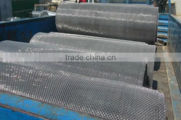 Galvanized Square Metal Mesh/2x2 to 60x60 wire mesh/electro galvanzied square mesh