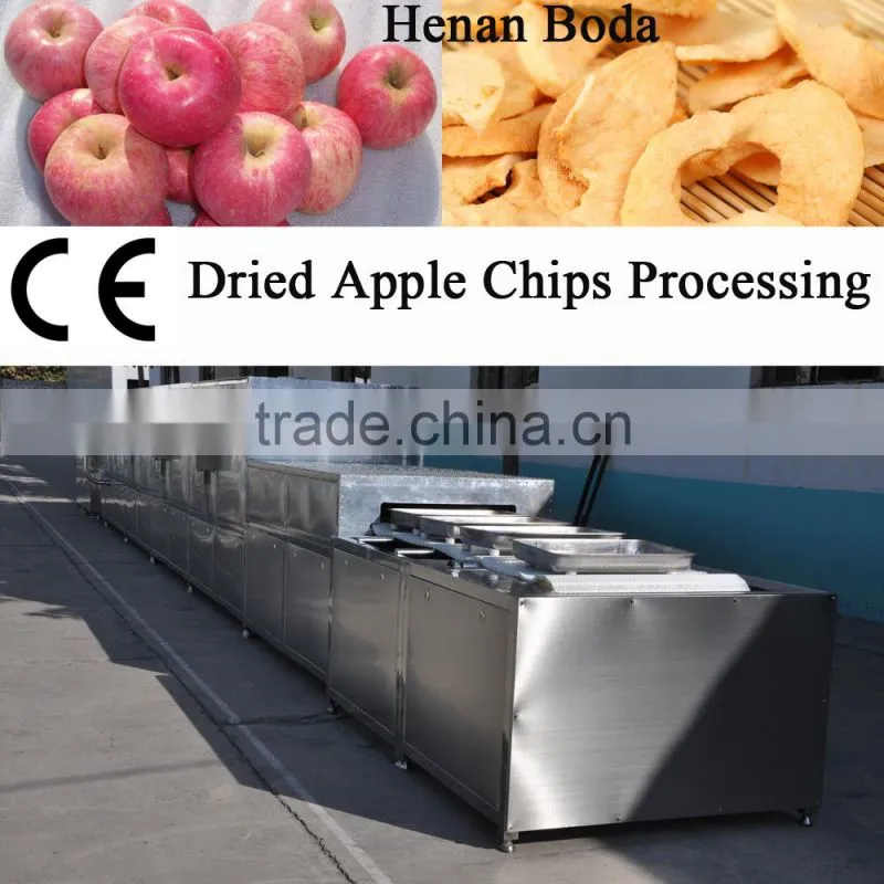 Dried Apple Chips Processing Machine