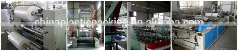 Designer PP Nonwoven Shopping Plastic Bag