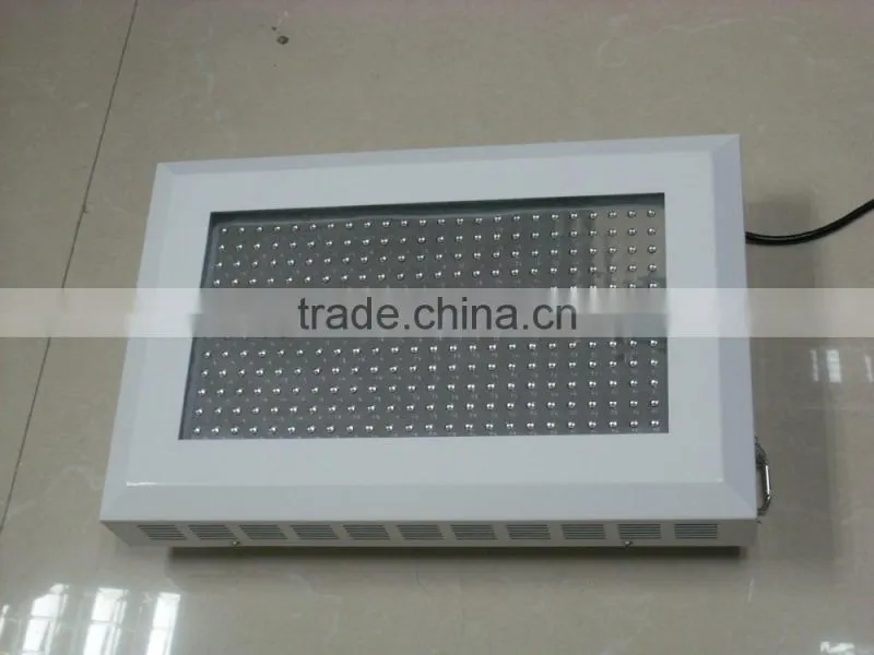 Best Led Grow Lights For Indoor Plants 300w Grow Light Led Cob For Orchid