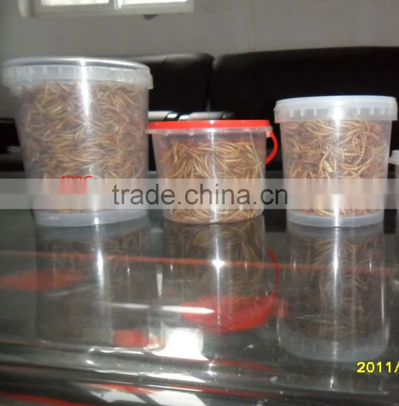 FDA Certification 2.8cm Microwave Dried Mealworms ;Dried Mealworms; Mealworms for Fish Food