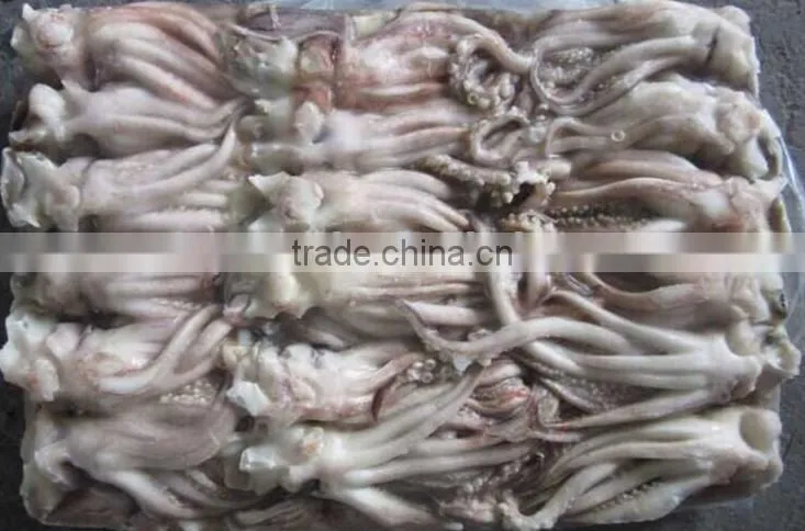 Japanese Flying Squid Tentacles High Quality Frozen Squid