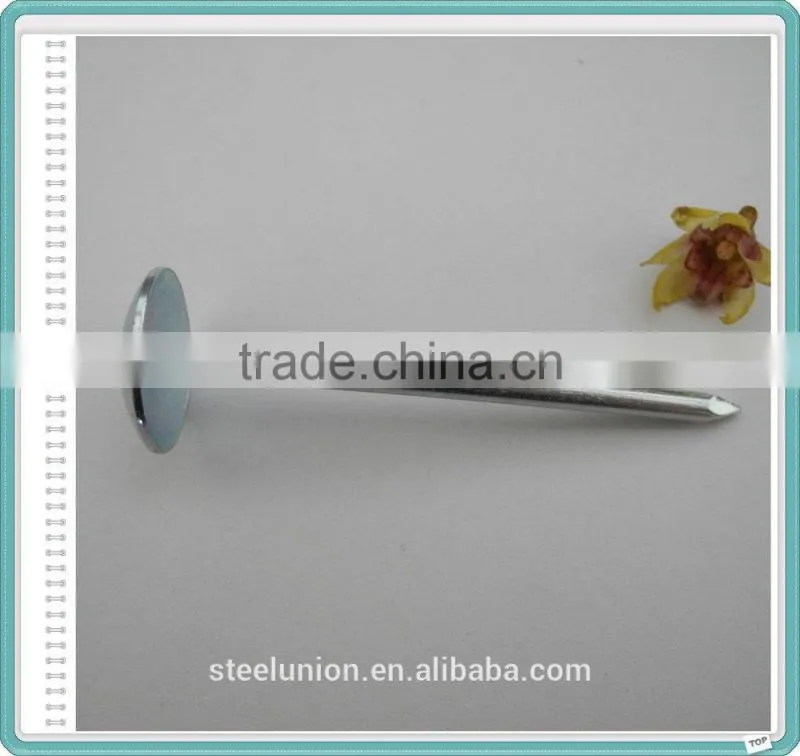 Iron Wire Galvanized Roofing Nails