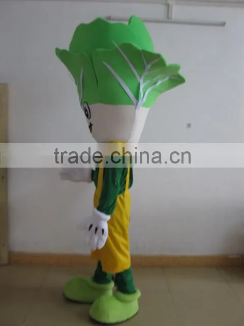 EVA plush material vegetable mascot costume vegetable mascot for adult