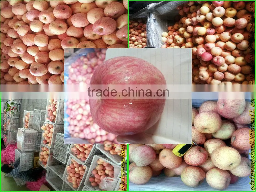 China New Crop Ripe Juicy Fresh Fuji Apples:60 mm--70 mm