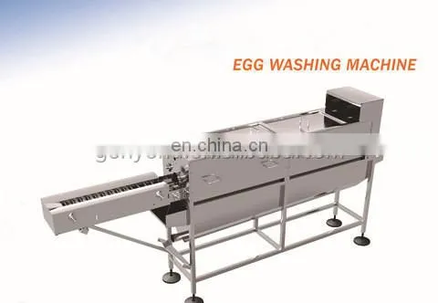 Commercial egg cleaning and sorting machine