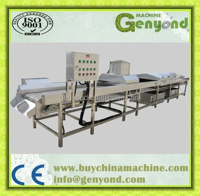 Washing, Cutting, Blanching Machine for Fruit and Vegetable Processing Line