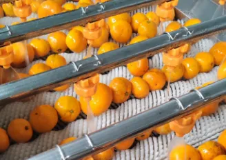 Crawfish Washing Machine Complete Sets of Crawfish Cleaning Cooking Processing Equipment Crawfish Production Line