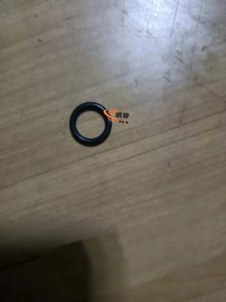 O-ring 4041000767 1