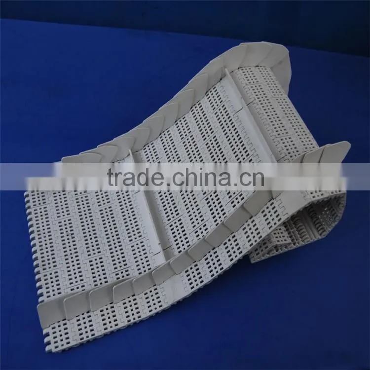 PE HDPE engineering plastic UHMWPE polyethylene conveyor chain