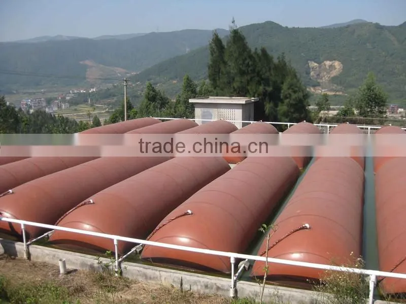 Biogas equipment's small biogas plant