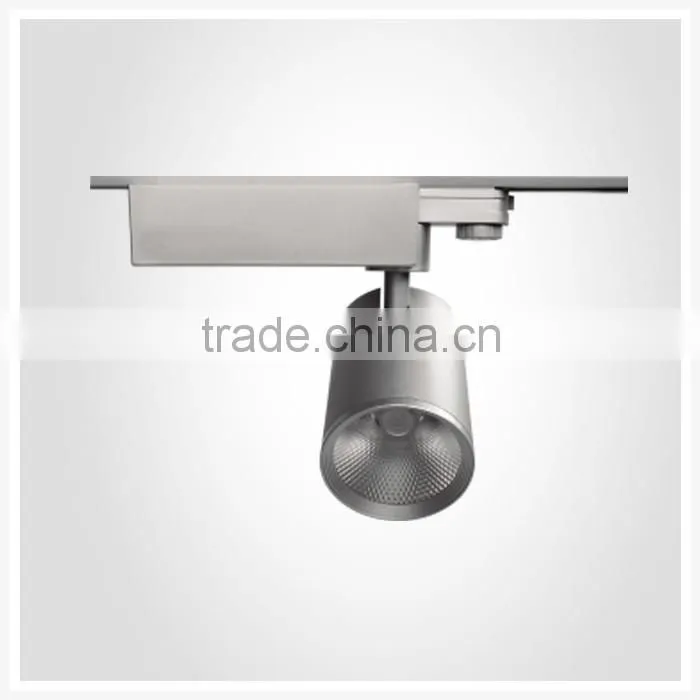 Track light finish color sliver new track light