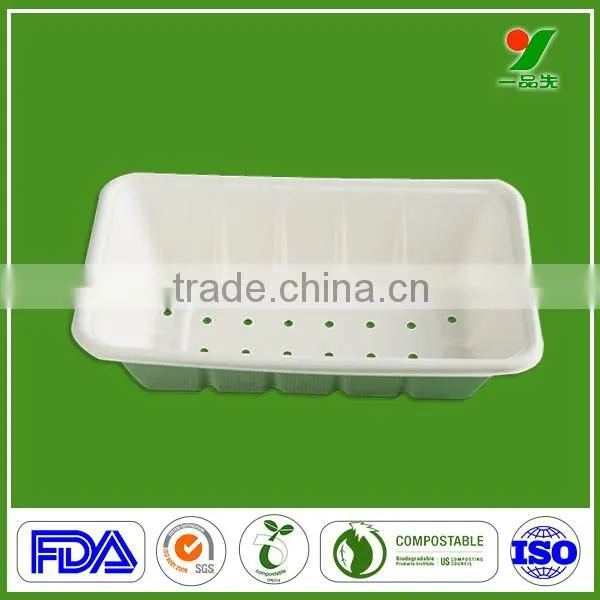 Professional Manufacturer Top Grade 90days Biodegradable Composable Hygiene Sugarcane Bagasse Molded Pulp Fruit Packaging Plates