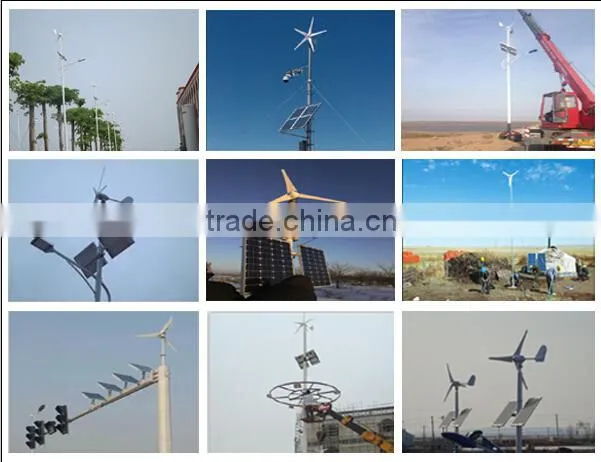 Wind Power Generator Type 300w wind turbine for sale