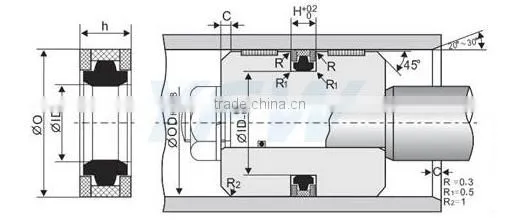 Hydraulic viton piston oil seal spgw