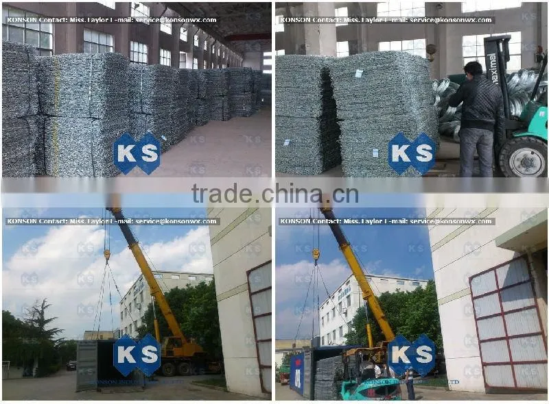 Hexagonal Plastic Mesh