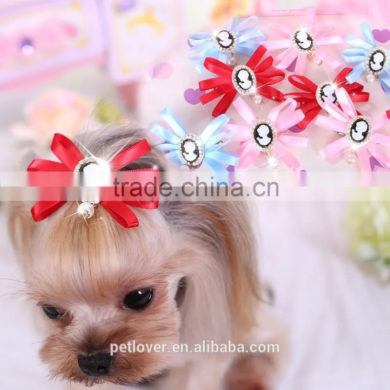 New China pet accessories 2016