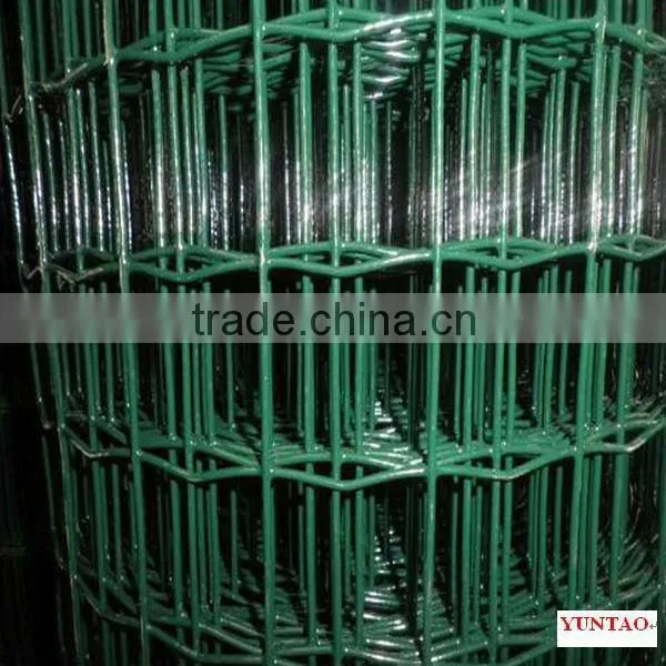 Europe Welded Wire Mesh in Rolls
