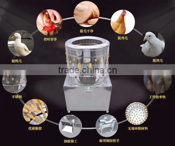 stainless steel chicken plucking machine /chicken plucker/poultry plucking machines