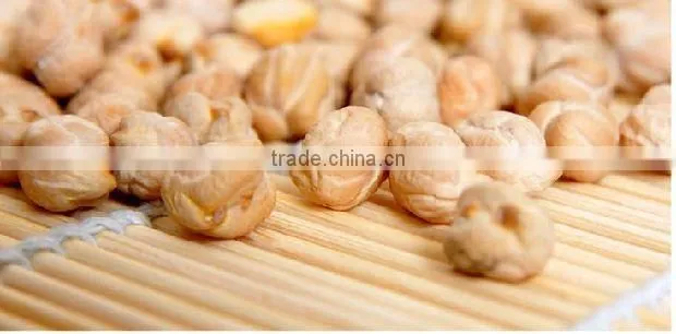 competitive prices china xinjiang Kabuli Chickpeas in bulk