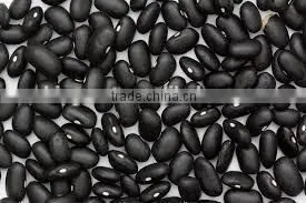 black beans new crop