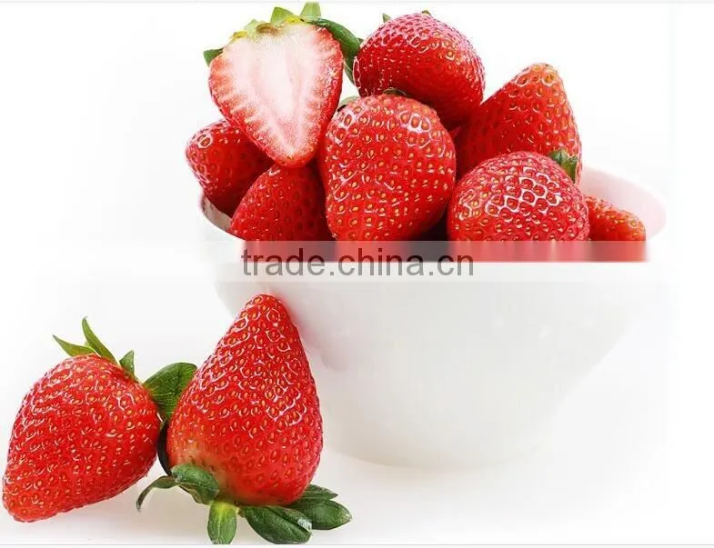Berries Product Type and Fresh Style strawberry for sale Grade A