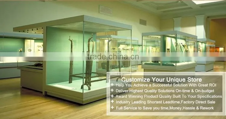 High End Glass Museum Wall Display
