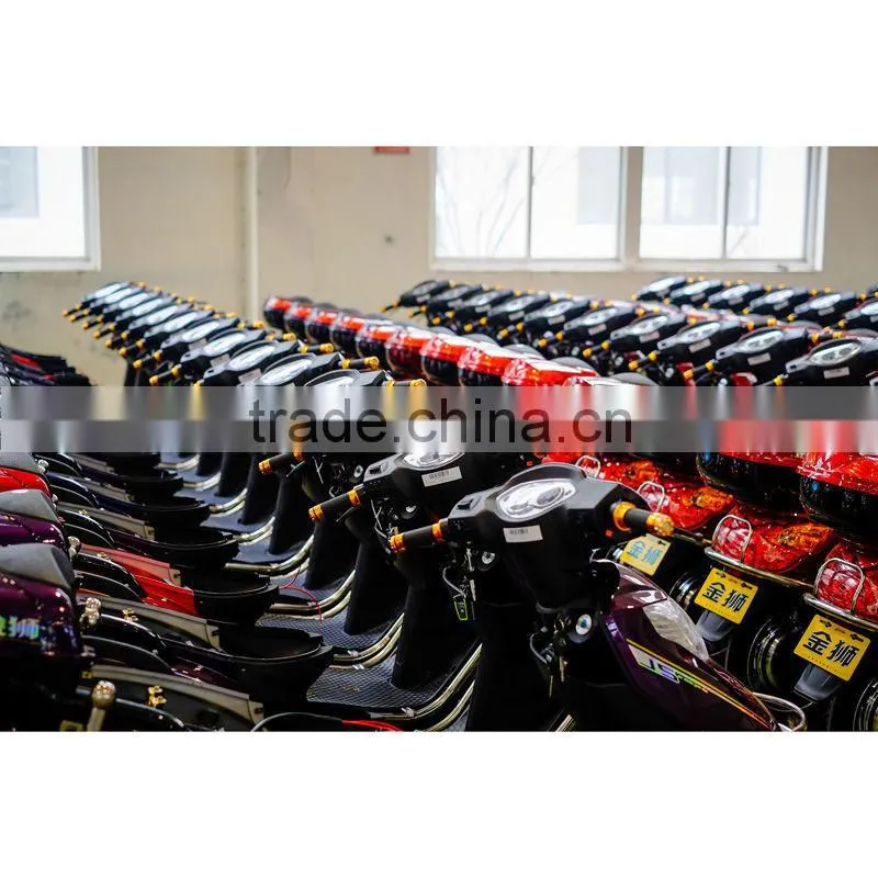 new style 48v 800w fashion sport scooter
