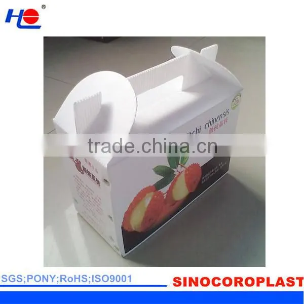 Plastic Corrugated Board Box Custom Design