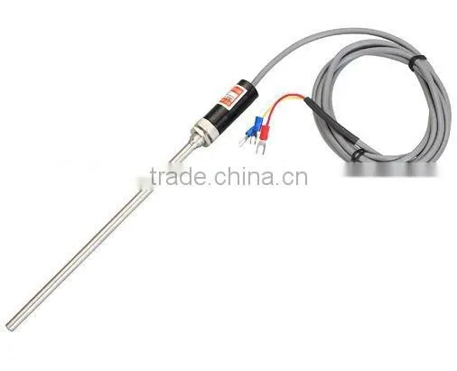 Flexible sensor