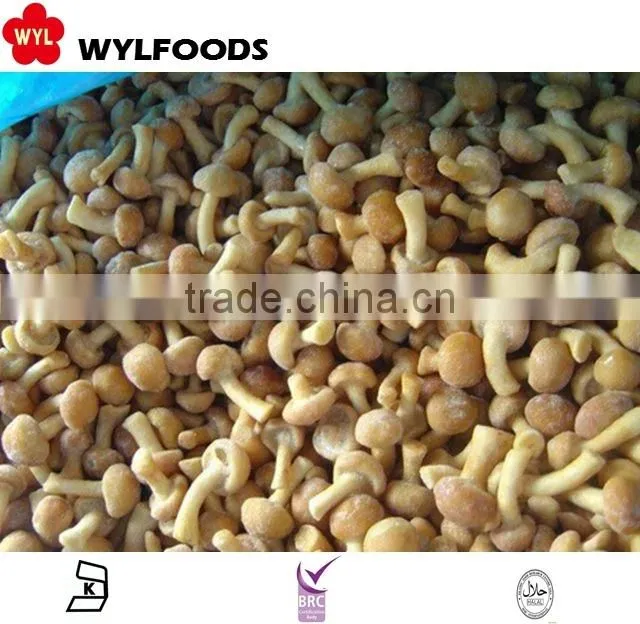 frozen nameko mushroom price in china