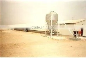 Poultry Turnkey Project