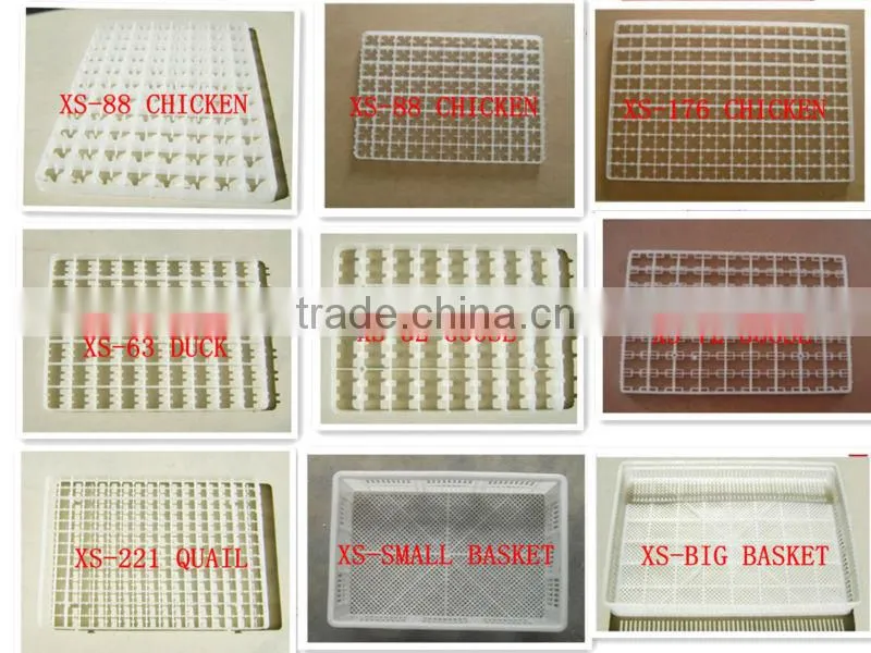 5280 commercial incubator for hatching eggs