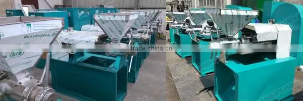 Commercial automatic screw oil press machine(mob:0086-15503713506)