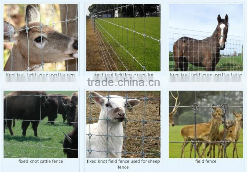 field fence grassland fence knotted cow fence fixed knot fencing