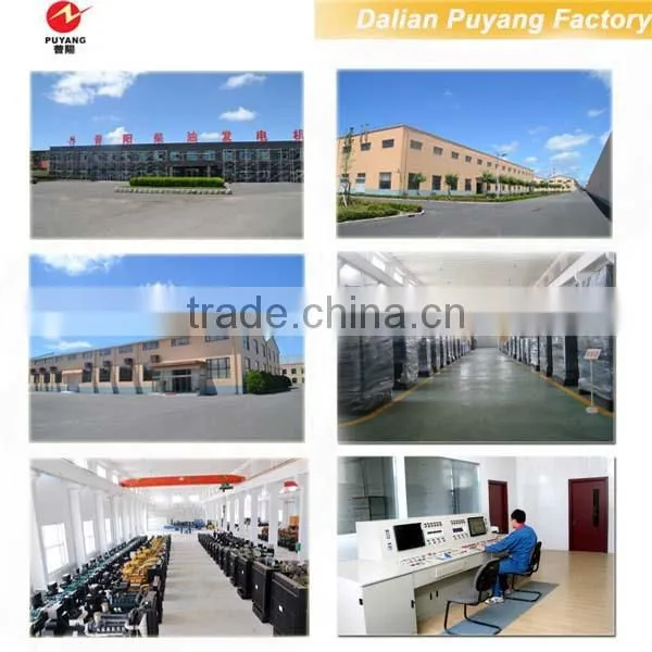 Diesel Small Size Rare Earth Generators Manufacturer