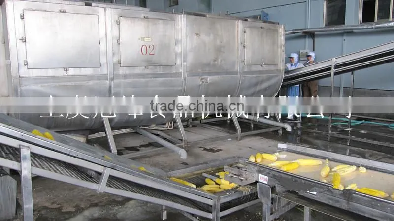 Professional food industrial green bean frozen production line