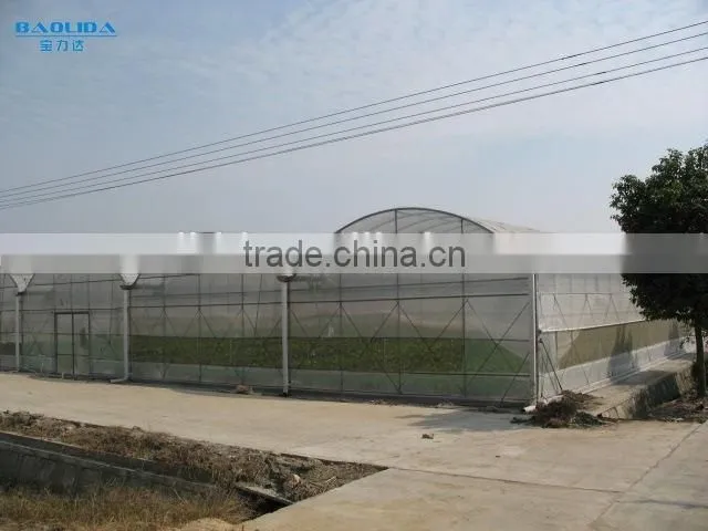 cheap easy multi-span greenhouse pe film green house