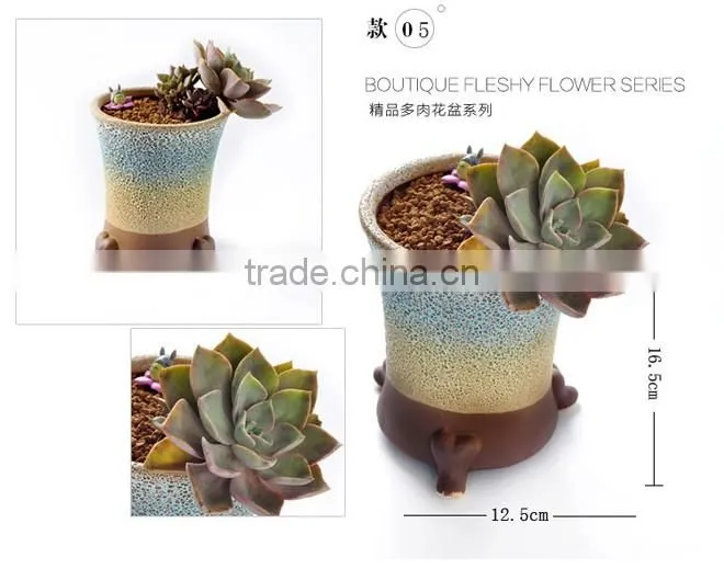 New design large caliber meaty plants ceramic outdoor planters