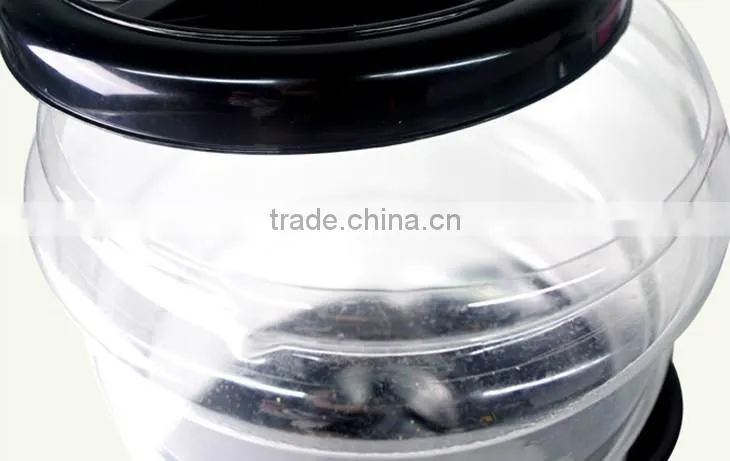 Automatic dog feeder