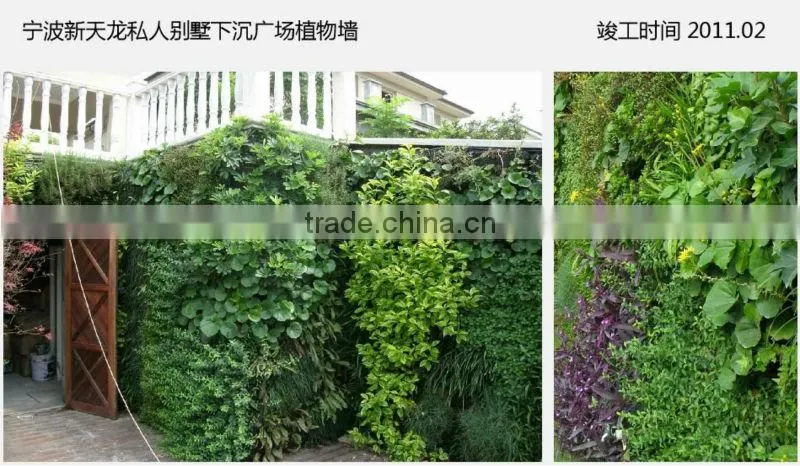 2015 new designed high quality artificial plant wall/decorative artificial vertical garden wall