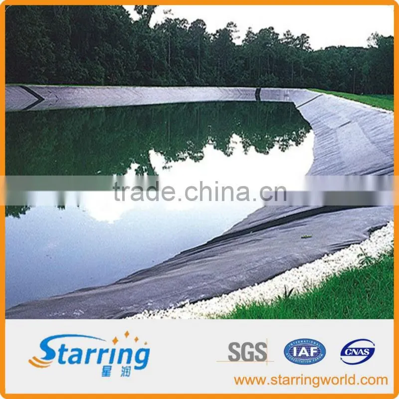Chinese top HDPE Geomembrane for dam lining