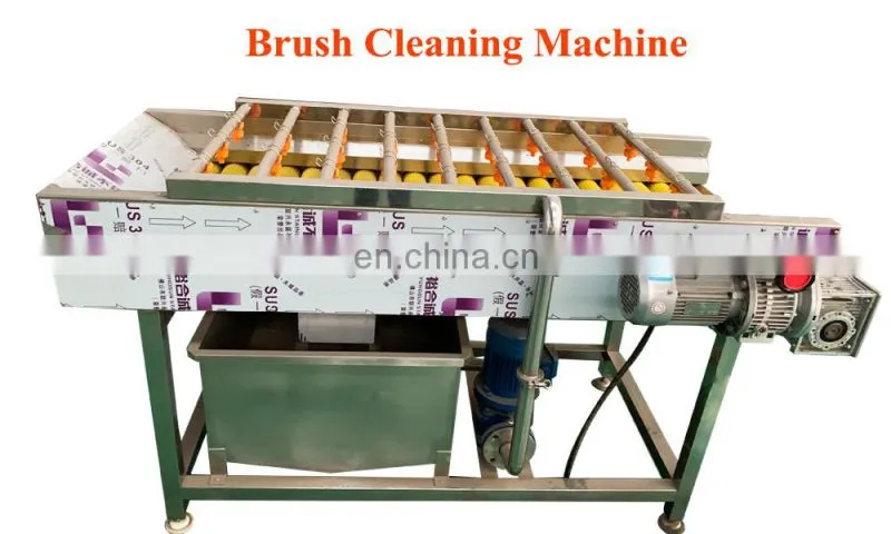 Date palm washing machine fruits and vegetables washing machine zone bubble washing machine